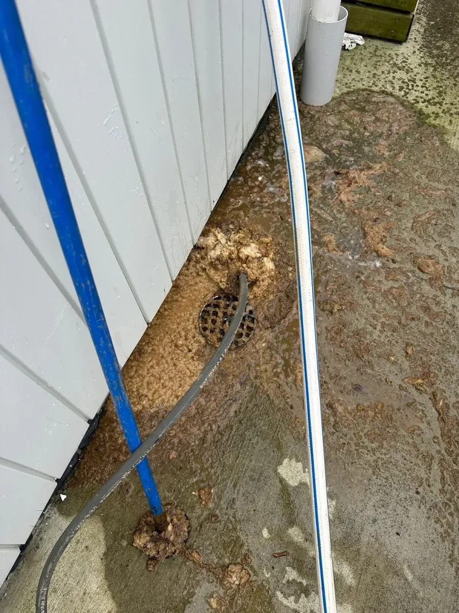 Drain hydroblasting service Auckland
